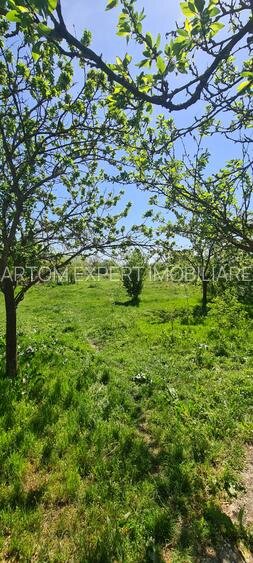 Floresti Stoenesti, acces A1 Casa si teren