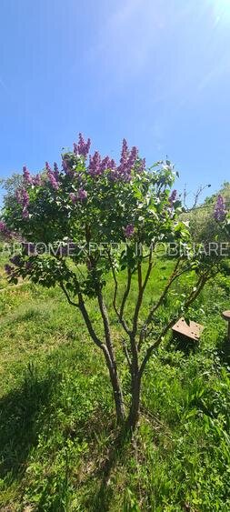 Floresti Stoenesti, acces A1 Casa si teren